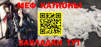 мдпв Камышлов