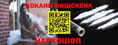 мдпв Камышлов