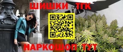 мдпв Камышлов