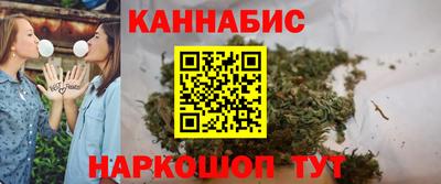 мдпв Камышлов