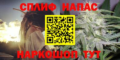 apvp Канаш
