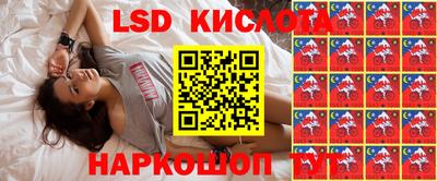 мдпв Камышлов