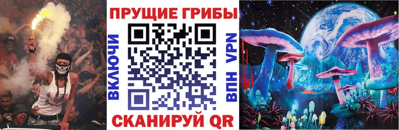 Галлюциногенные грибы Psilocybine cubensis  как найти закладки  Кызыл 