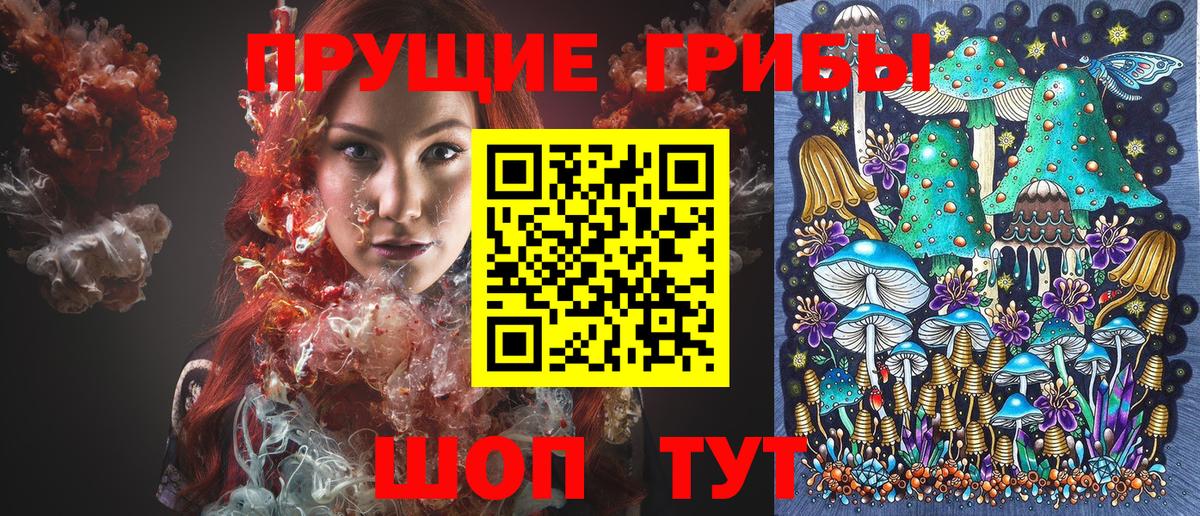 Галлюциногенные грибы Psilocybe  Вход с VPN  Кызыл 