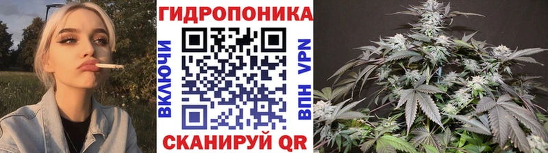 Каннабис Bruce Banner  Кызыл 
